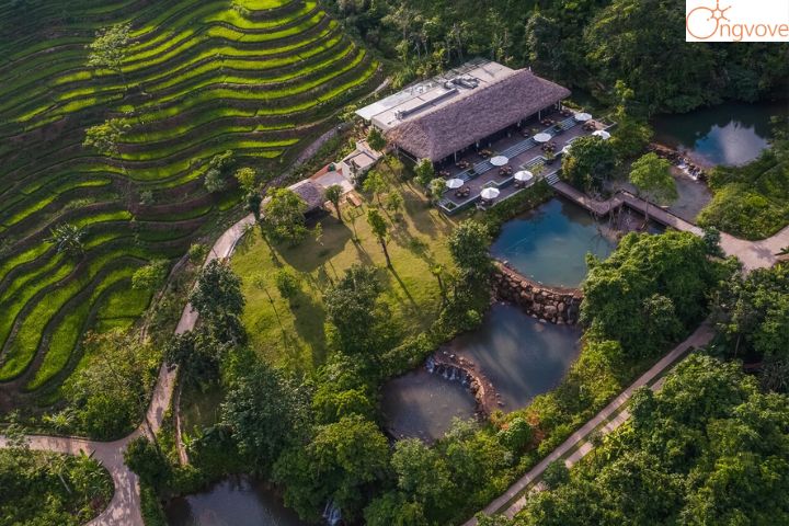 Avana Retreat