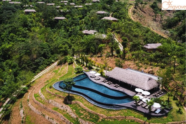 Avana Retreat