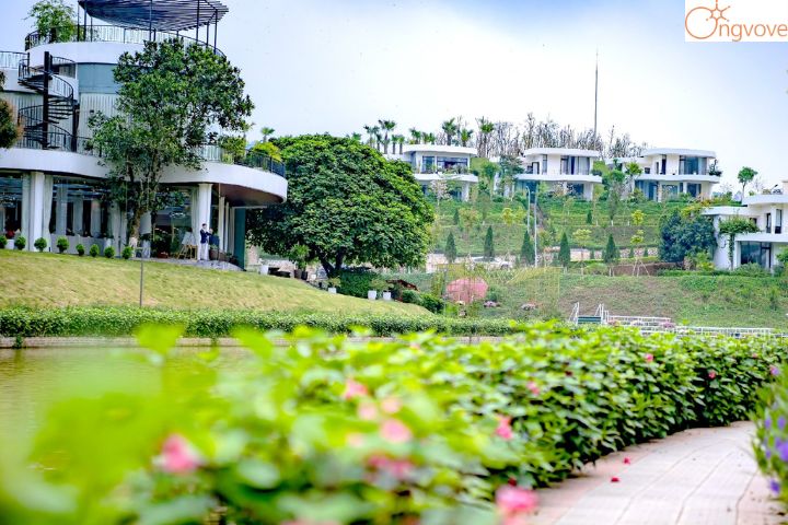 Ivory Villas & Resort