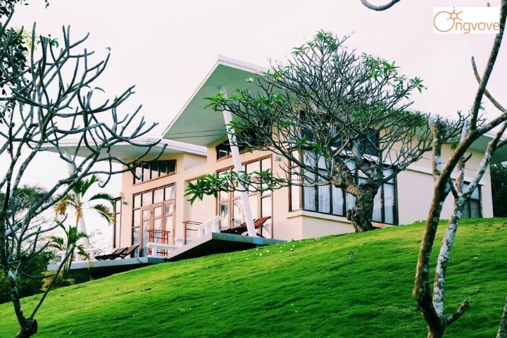 Lazi Beach Resort 