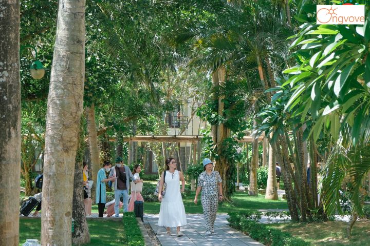 Sun Spa Resort Quảng Bình