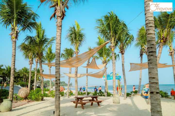 The Cliff Resort & Residences