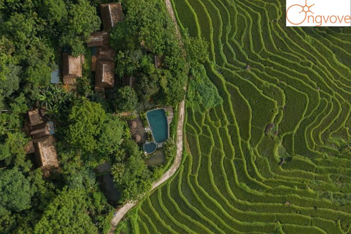 Pù Luông Home Resort