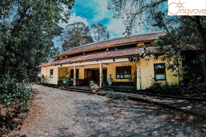 Bến Cự Forest Floor Lodge – Resort Đồng Nai Chuyên Nghiệp