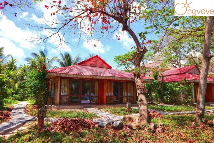 Tân Sơn Nhất Côn Đảo Resort