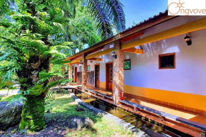 Vườn Xoài Resort – Khu Nghỉ Dưỡng Uy Tín Ở Đồng Nai