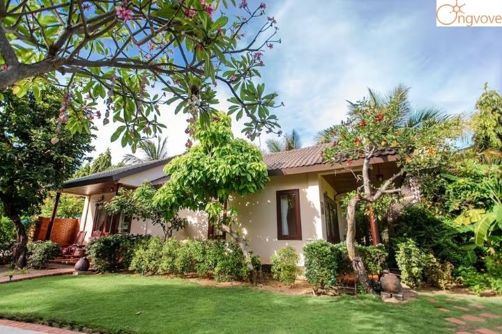 Khách Sạn Bảo Quỳnh Bungalow