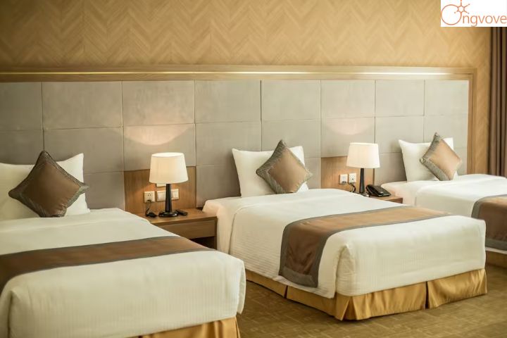 Khách sạn Royal Việt Trì