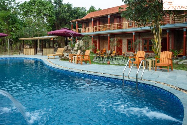 Tam Coc Lavender Homestay
