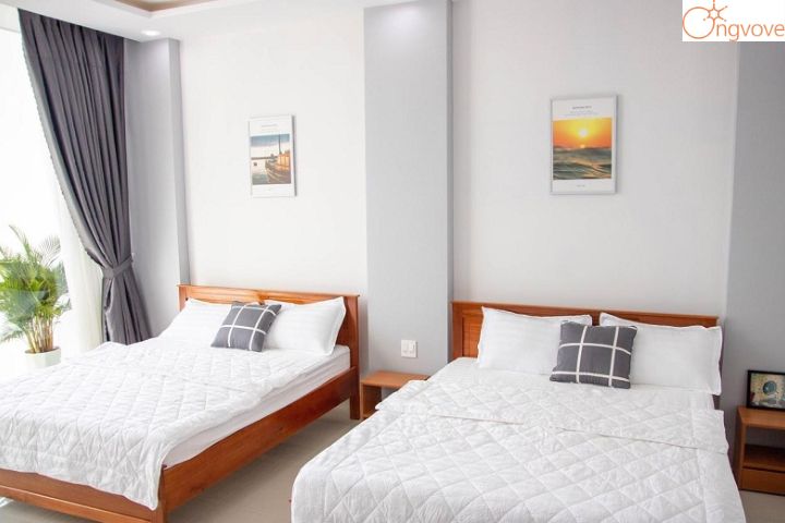 Khách sạn giấy Bãi Bằng