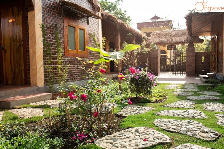 Ninh Binh Palm Homestay