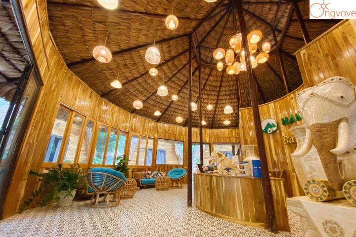 Hang Múa Ecolodge Ninh Bình