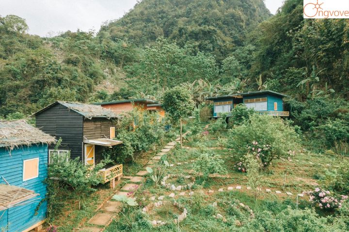 Stella Mộc Châu Resort