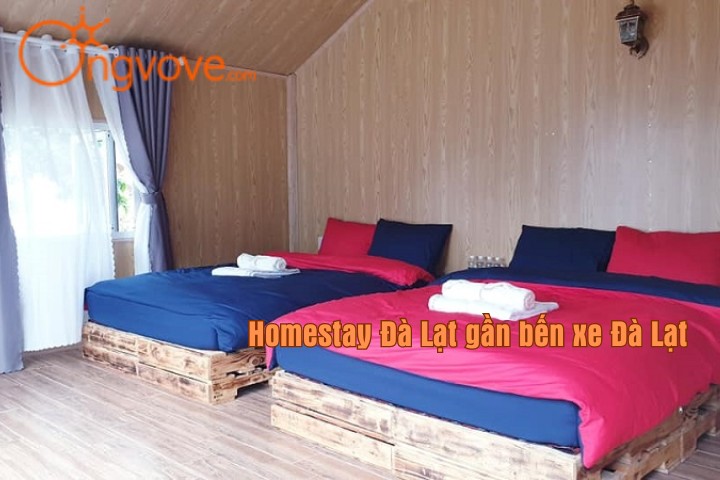 Hoa Ngũ Sắc homestay Đà Lạt gần bến xe Đà Lạt
