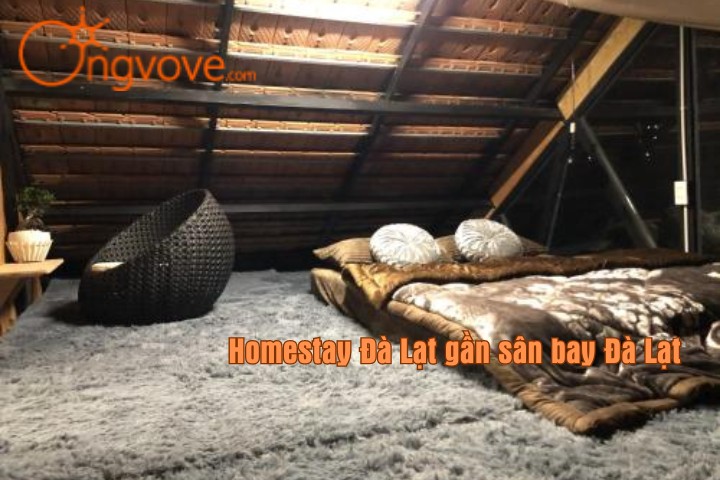 Tới Là Ở Homestay 