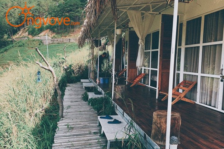Wilder nest homestay