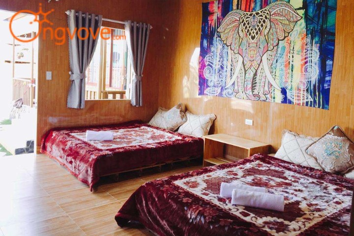  Books Homestay