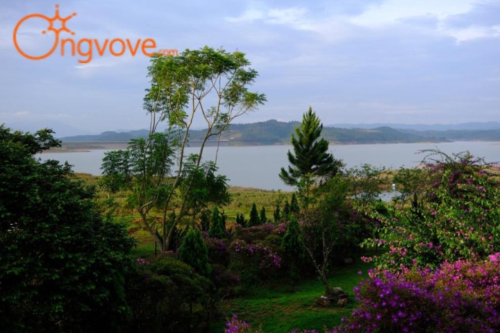 Tà Hine Café & Homestay Đà Lạt gần sân bay Đà Lạt