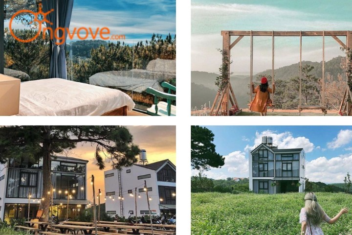 The Kupid homestay Đà Lạt gần bến xe Đà Lạt