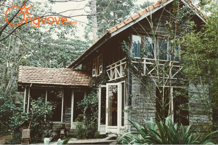 Le Bleu – homestay Đà Lạt gần chợ Đà Lạt