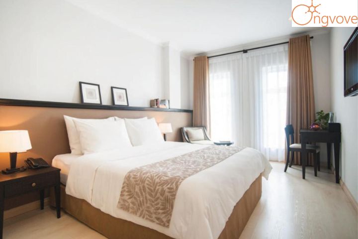 The Alcove Library Hotel
