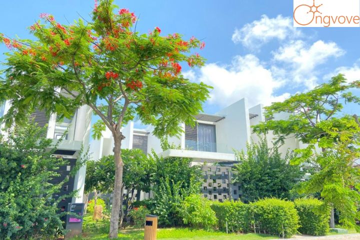 Oceanami Villas & Beach Club