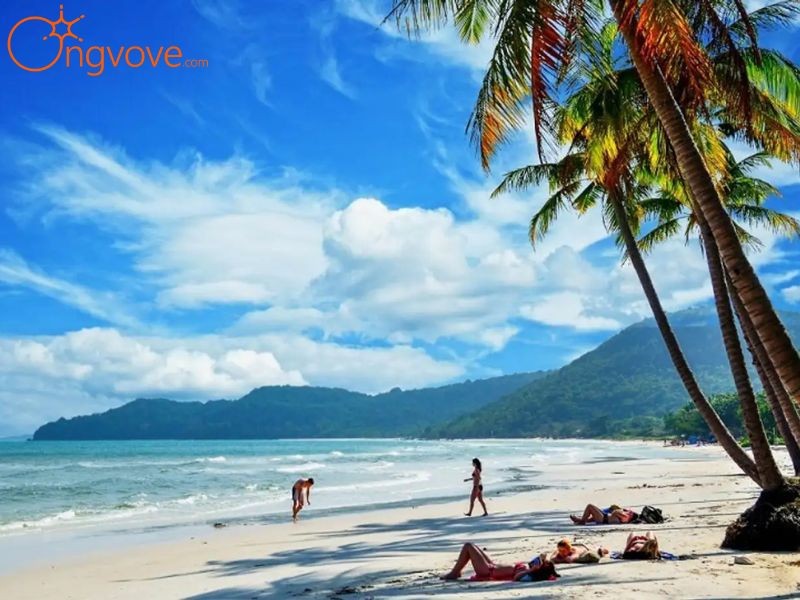 Các dịch vụ bao gồm trong tour 