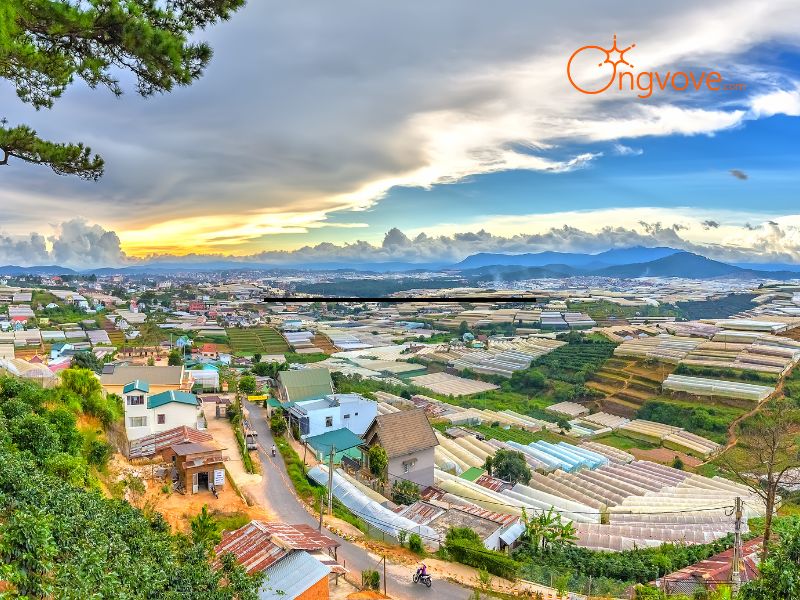 Lịch trình Tour du lịch Đà Lạt 3 ngày 2 đêm 