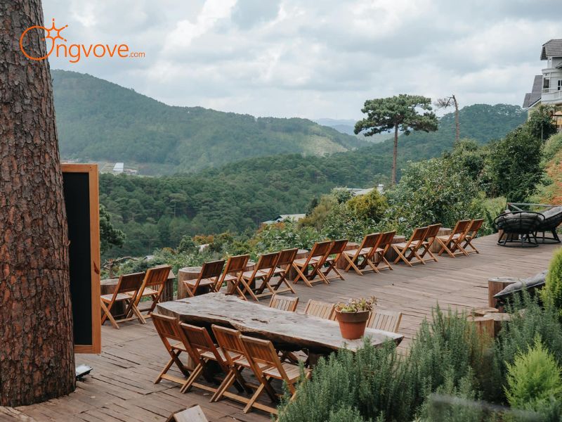Thưởng thức cà phê, trà tại các quán cà phê view đẹp
