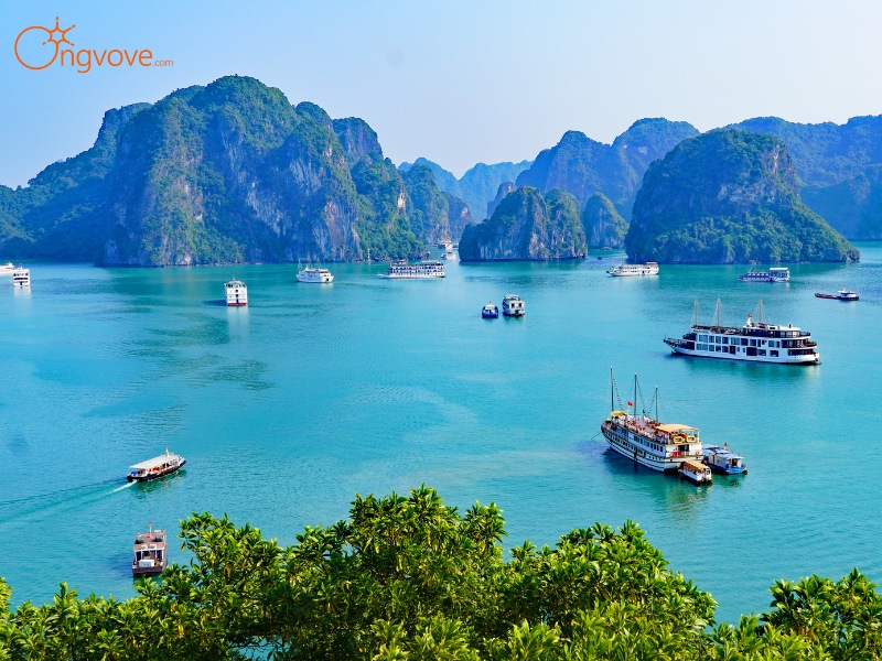tour Hạ Long